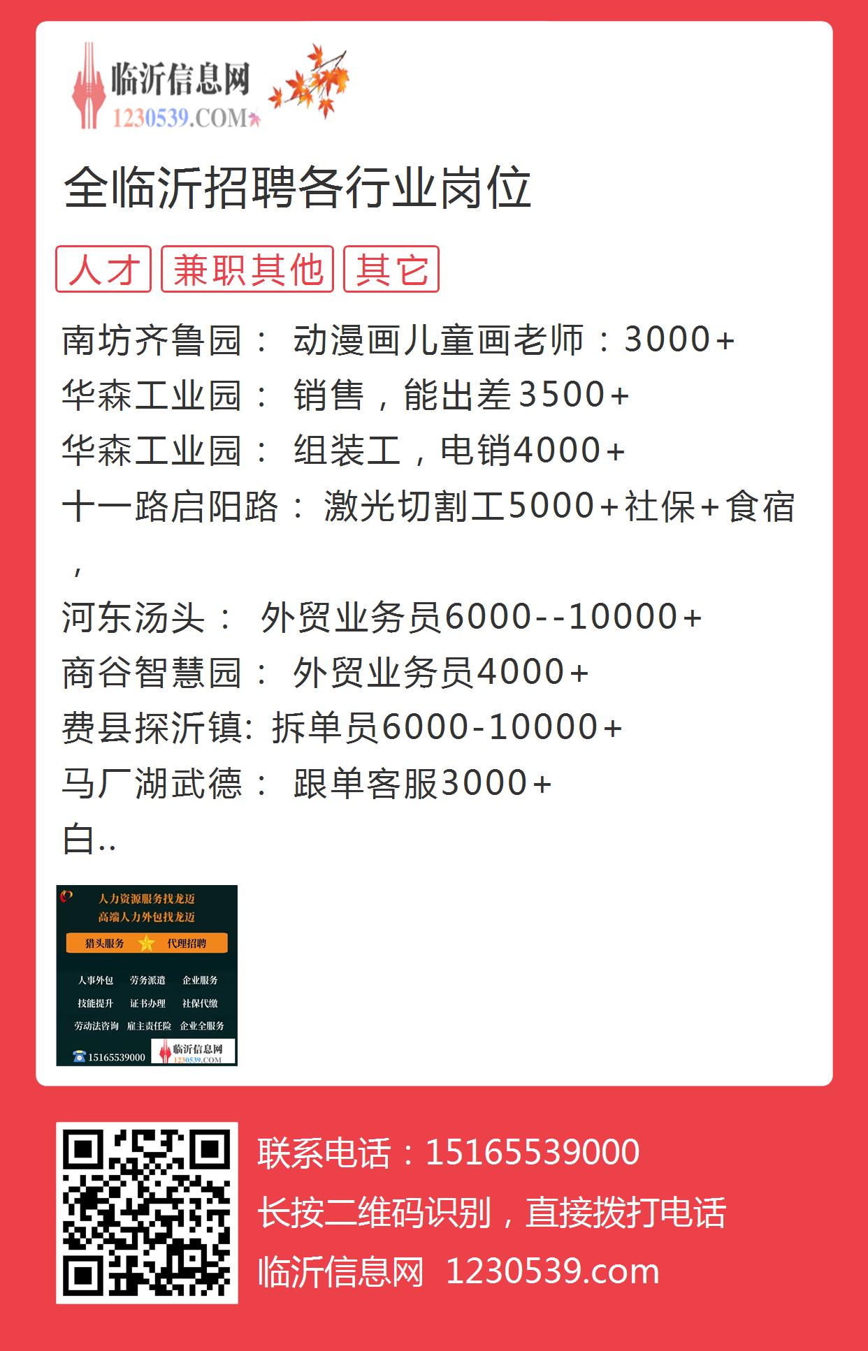 临沂市招聘网最新招聘动态深度解析