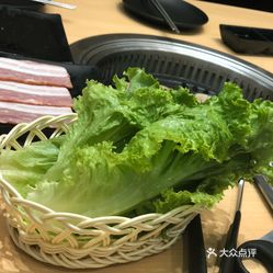 生菜先生最新视频，探索美食与创意的无限可能