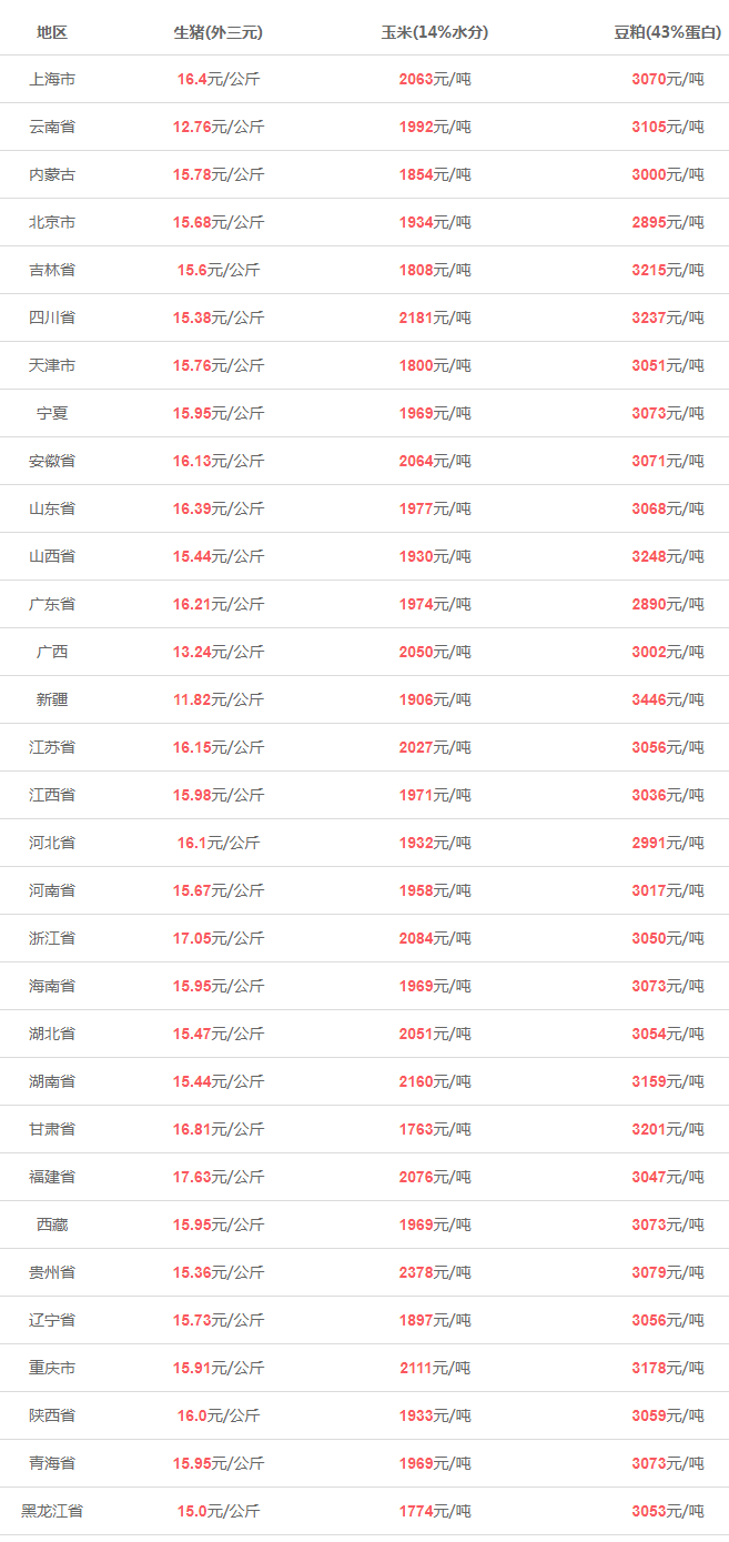 豆柏最新价格动态分析