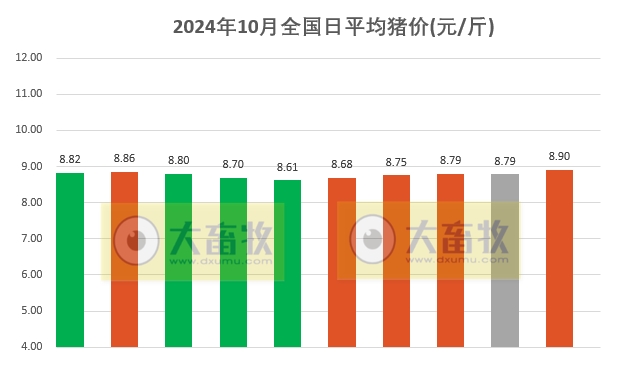 聊城仔猪最新价格动态分析