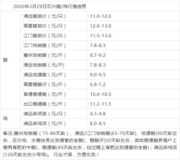 鹅蛋价格最新行情分析