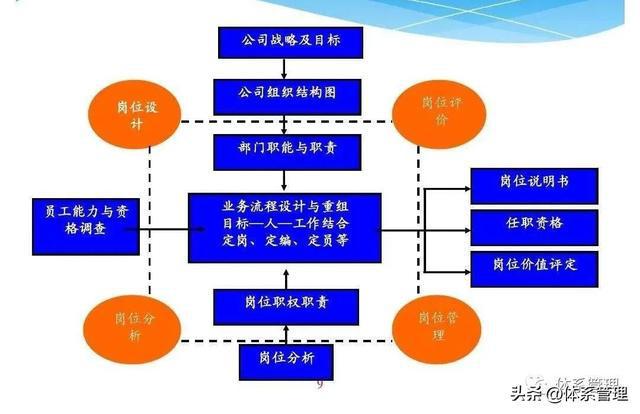 最新章程范本，构建高效组织管理体系的基石