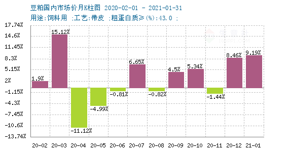 豆帕最新价格，市场动态与趋势分析