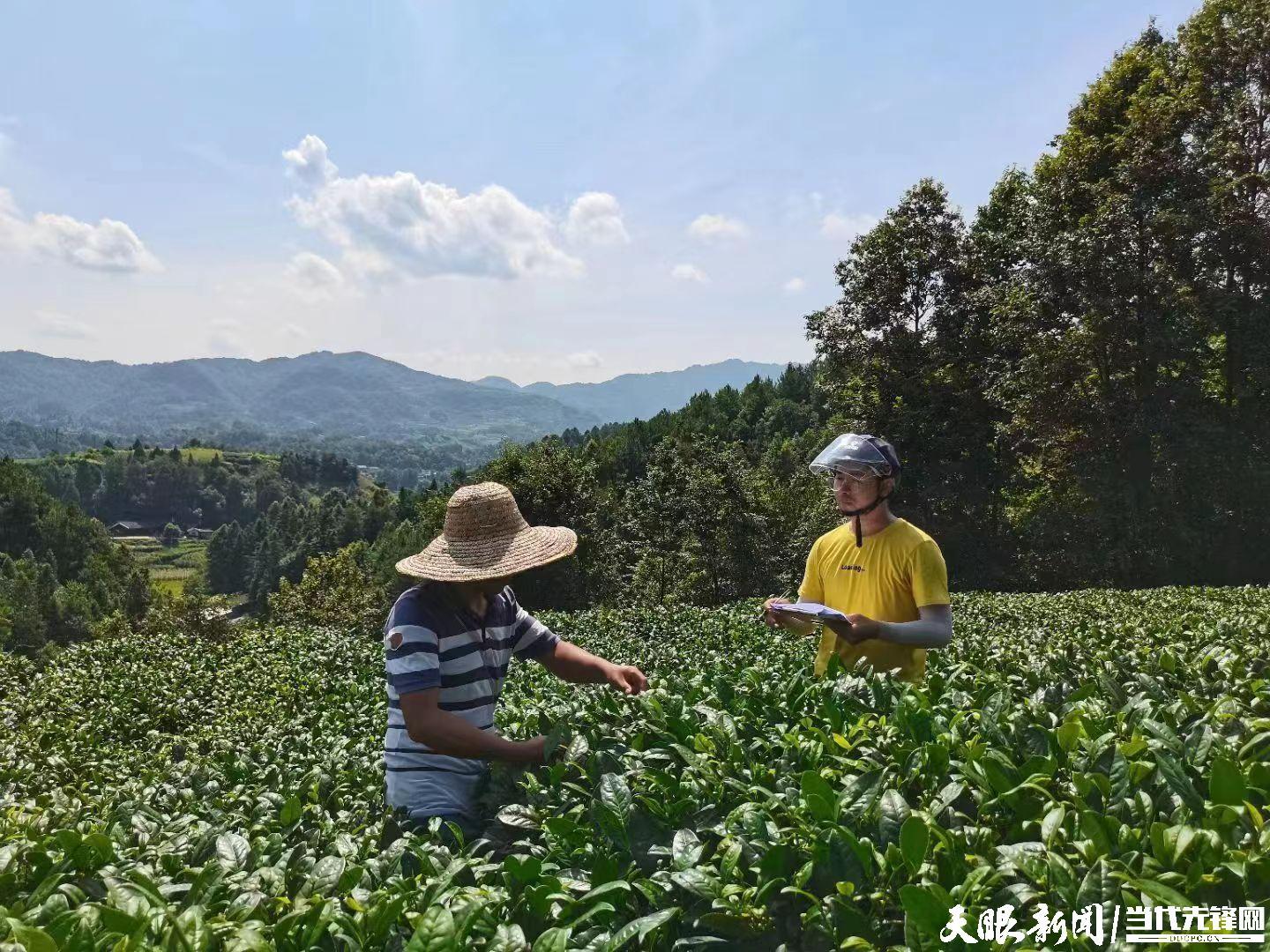 湄潭房产最新信息楼盘，探索未来居住的新篇章