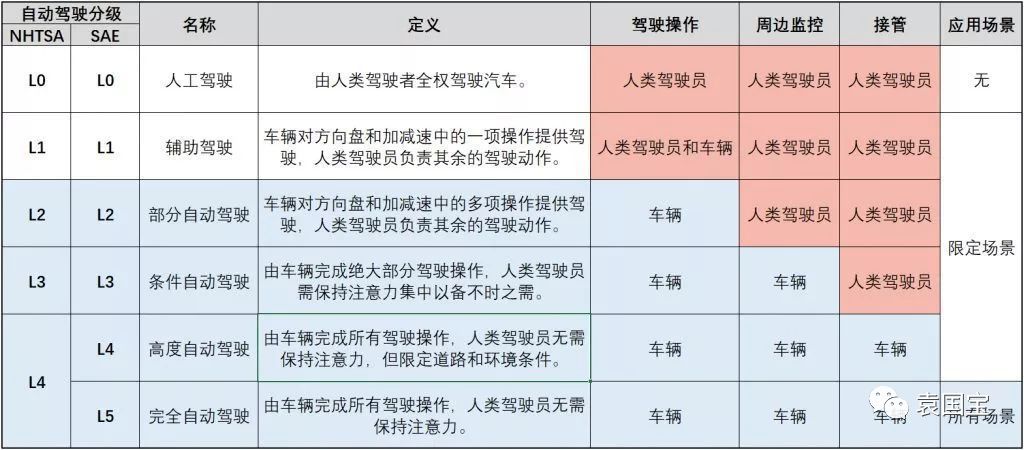 速成鸡毛鸡最新价格概览及分析