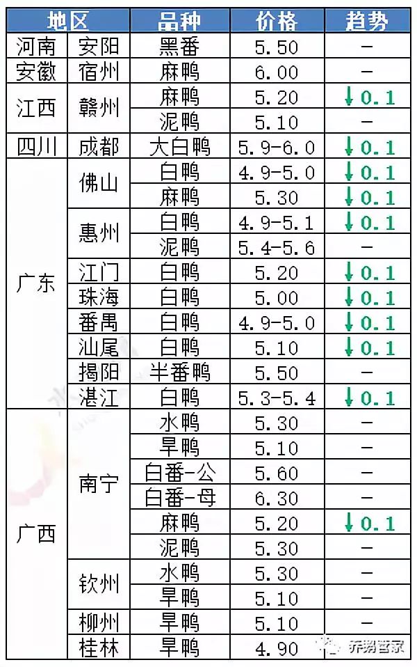 成鹅价格最新行情分析