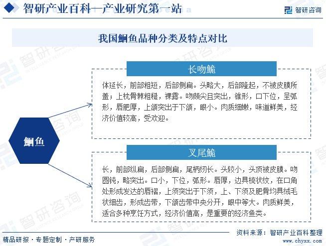 上海最新厨师招聘信息概览及行业趋势分析