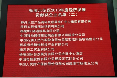 杨凌企业最新招聘信息概览