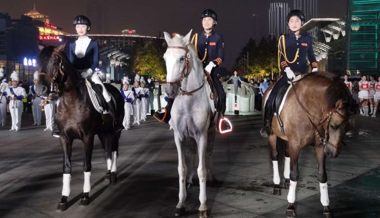 今年最新靓女骑矮马，时尚潮流与优雅魅力的完美结合