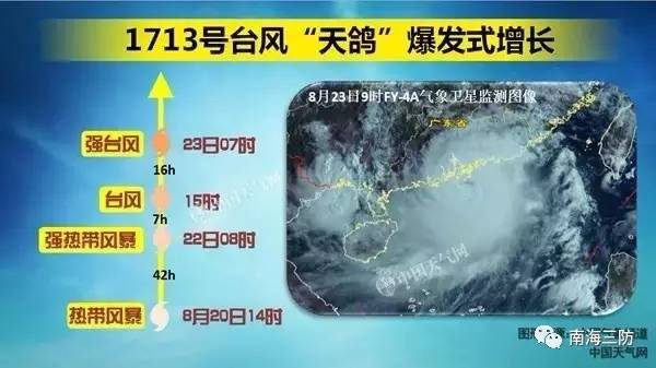 最新天鸽台风信息及其影响分析