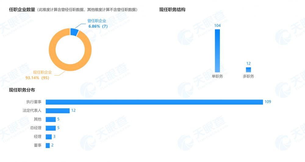 车和家最新估值，引领智能出行新时代的资本盛宴