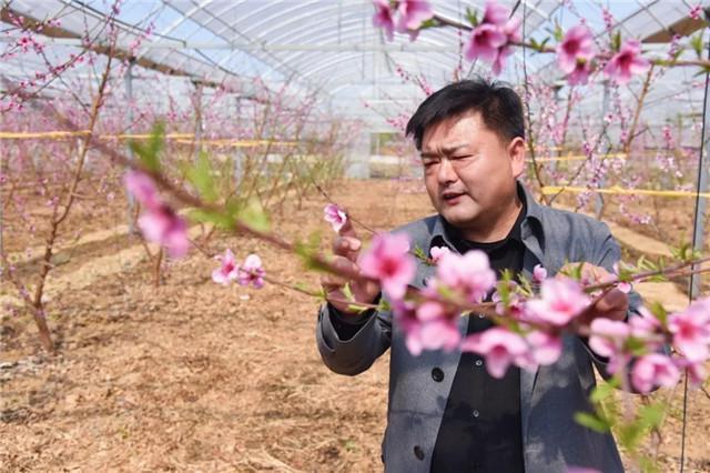 溧阳最新三十天天气详解