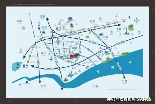 2016最新石龟价格表及市场分析